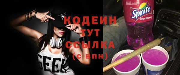 гашик Нея
