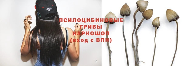 гашик Нея