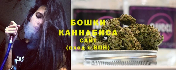 гашик Нея