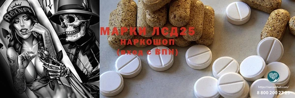 гашик Нея