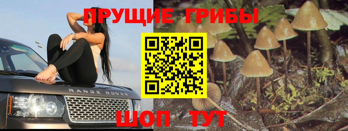 Галлюциногенные грибы MAGIC MUSHROOMS Кимры
