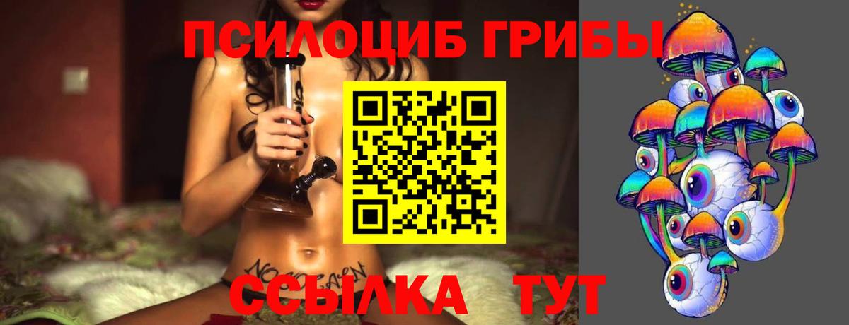Псилоцибиновые грибы Psilocybine cubensis  Вход с VPN  Кимры 