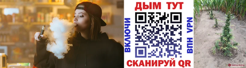 дарк нет Telegram  Кимры  Канабис White Widow  mega tor 
